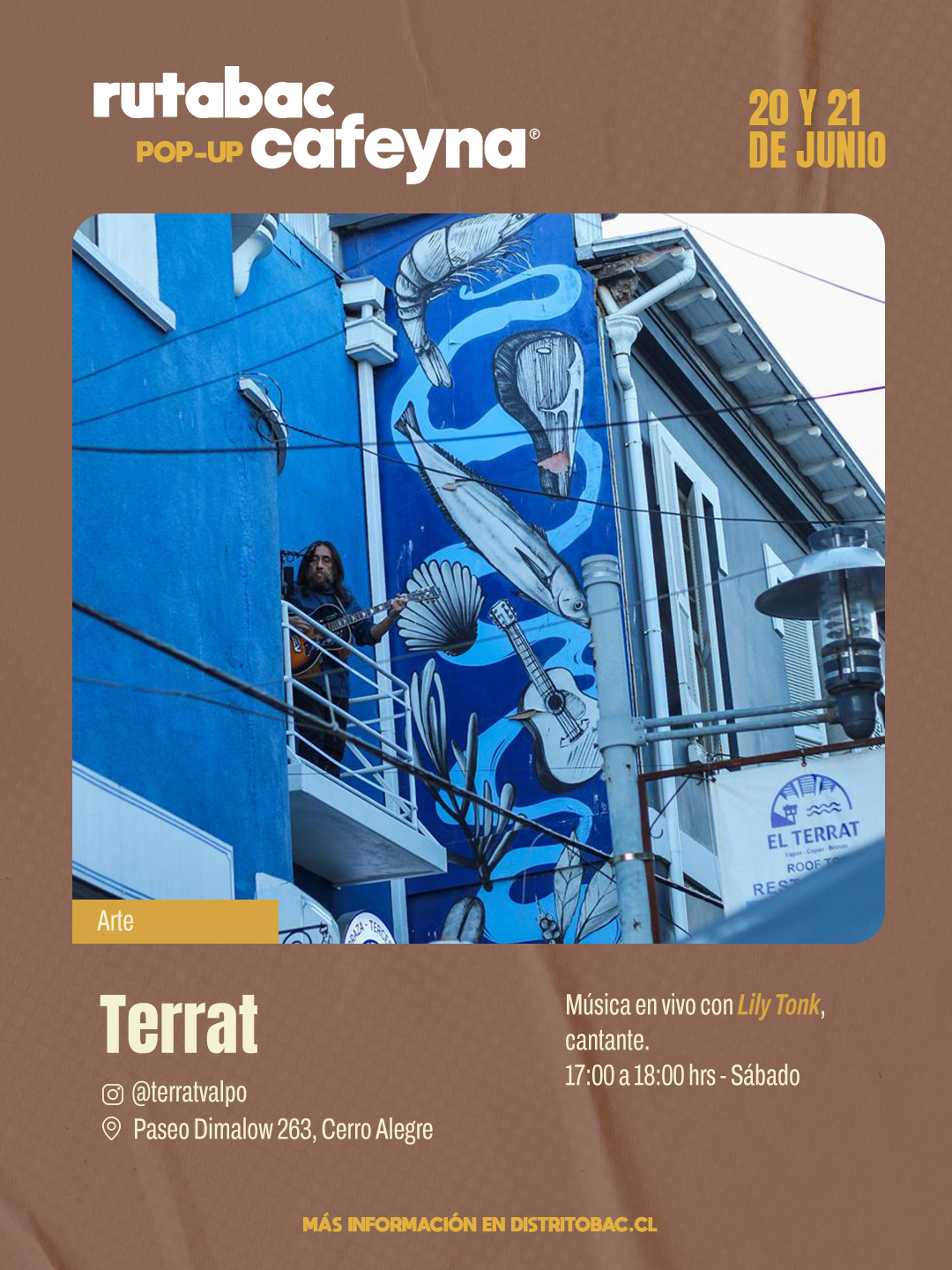 05 terrat