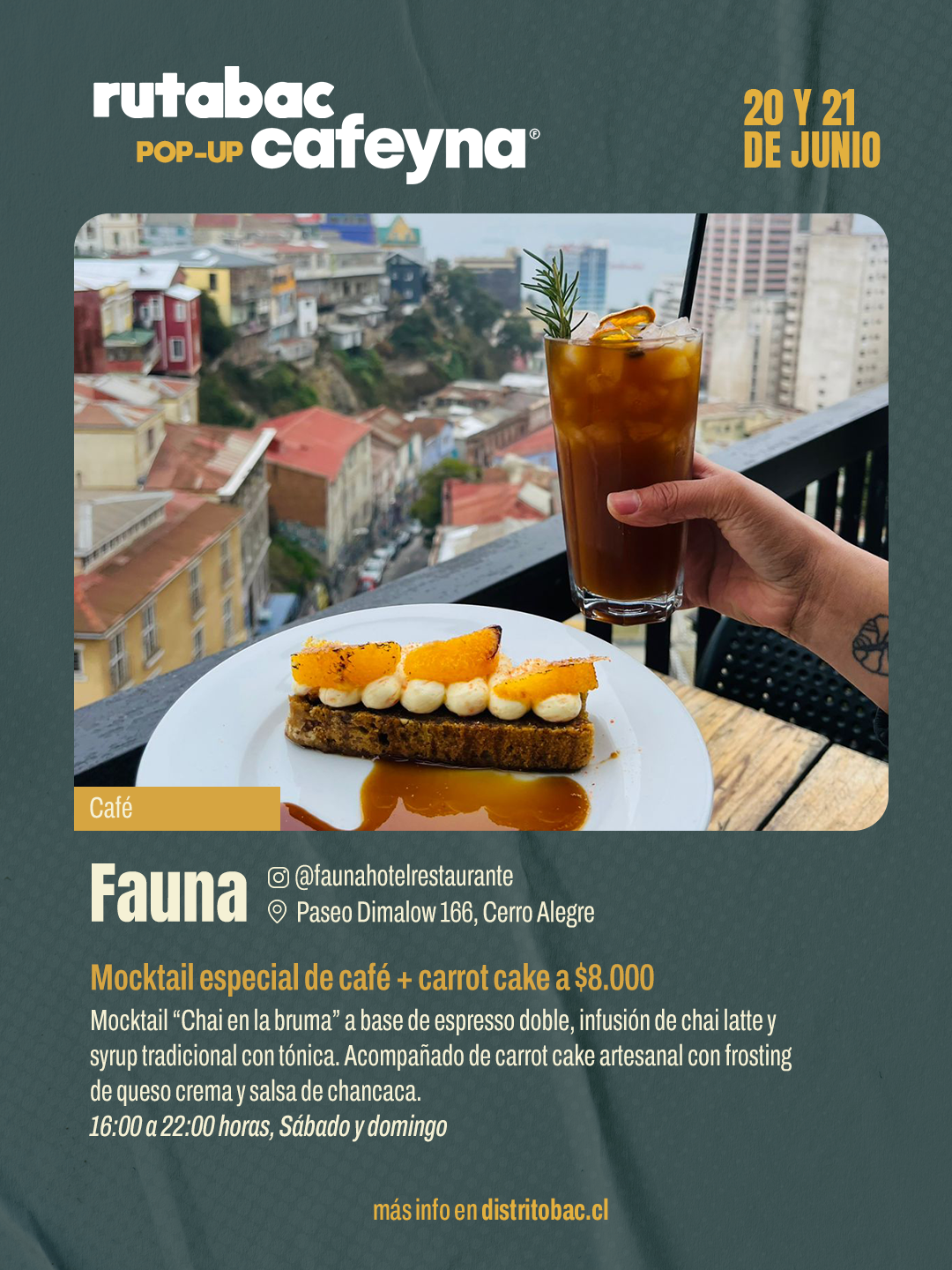 06 fauna