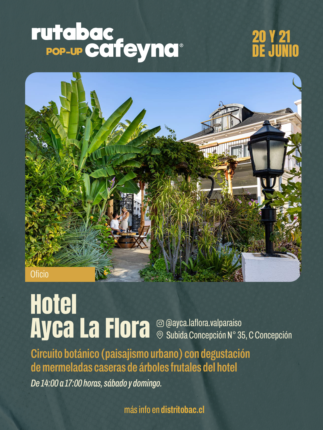 11 ayca la flora